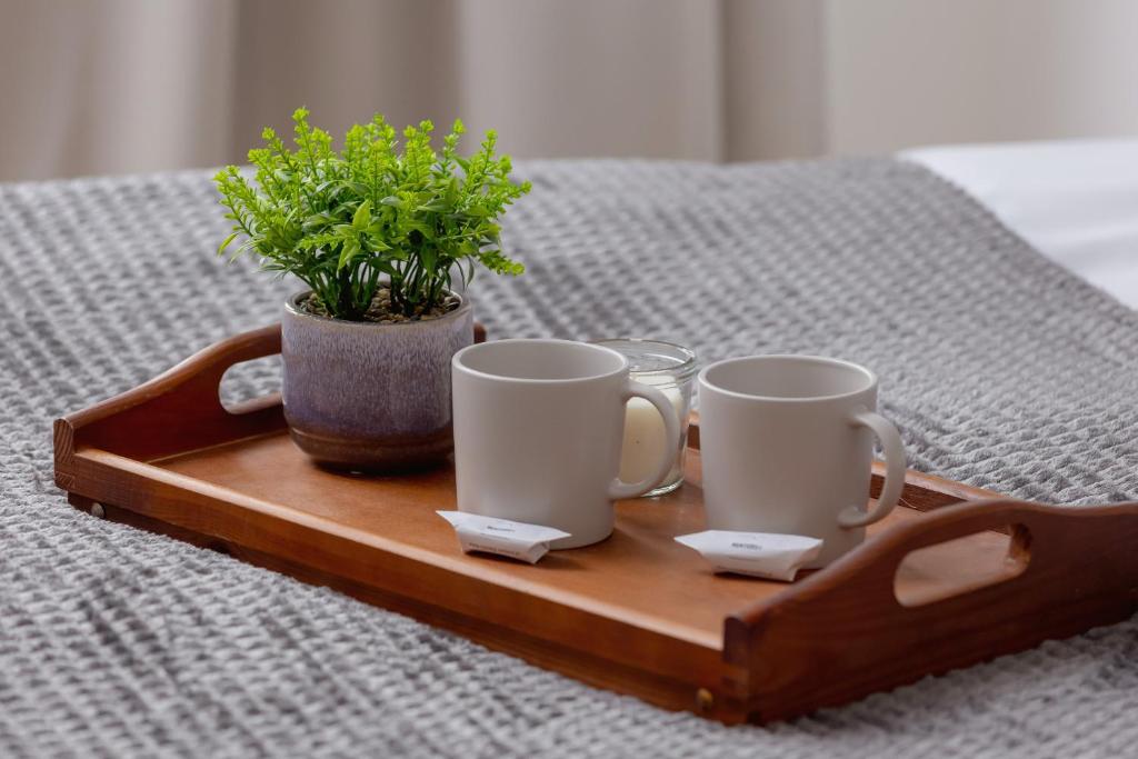 رزرو هتل، آپارتمان شیک Słowackiego کراکوف توسط Noclegi Renters، آژانس مسافرتی آسمان سپید