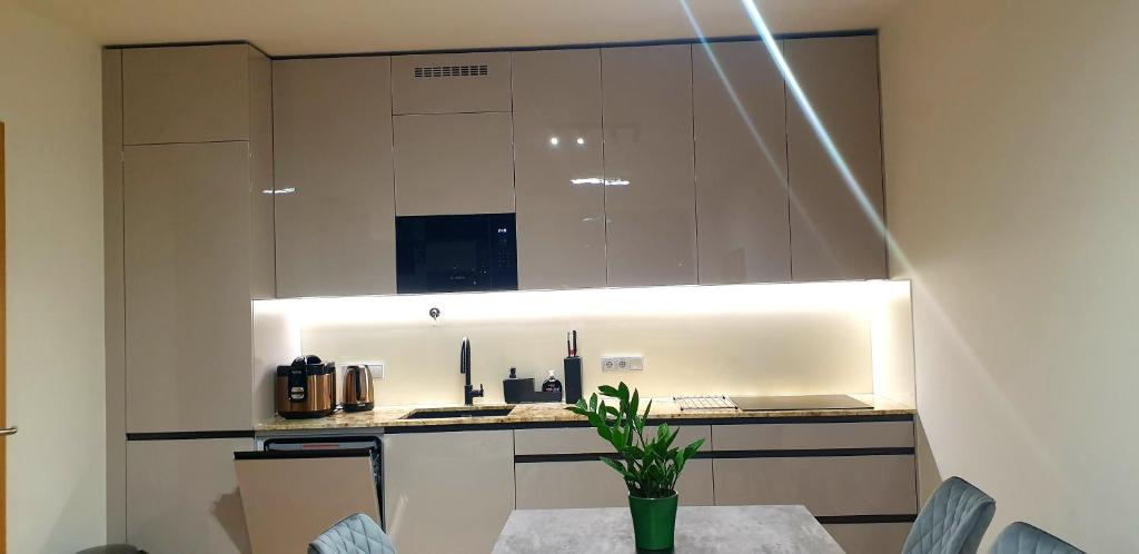 Kuchyň nebo kuchyňský kout v ubytování Smichov city Apartments