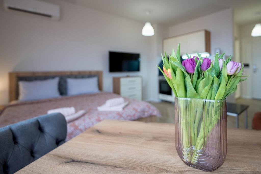 Travel Proud WOW studios for rent - bul Montevideo 25A - B - Studio Standard