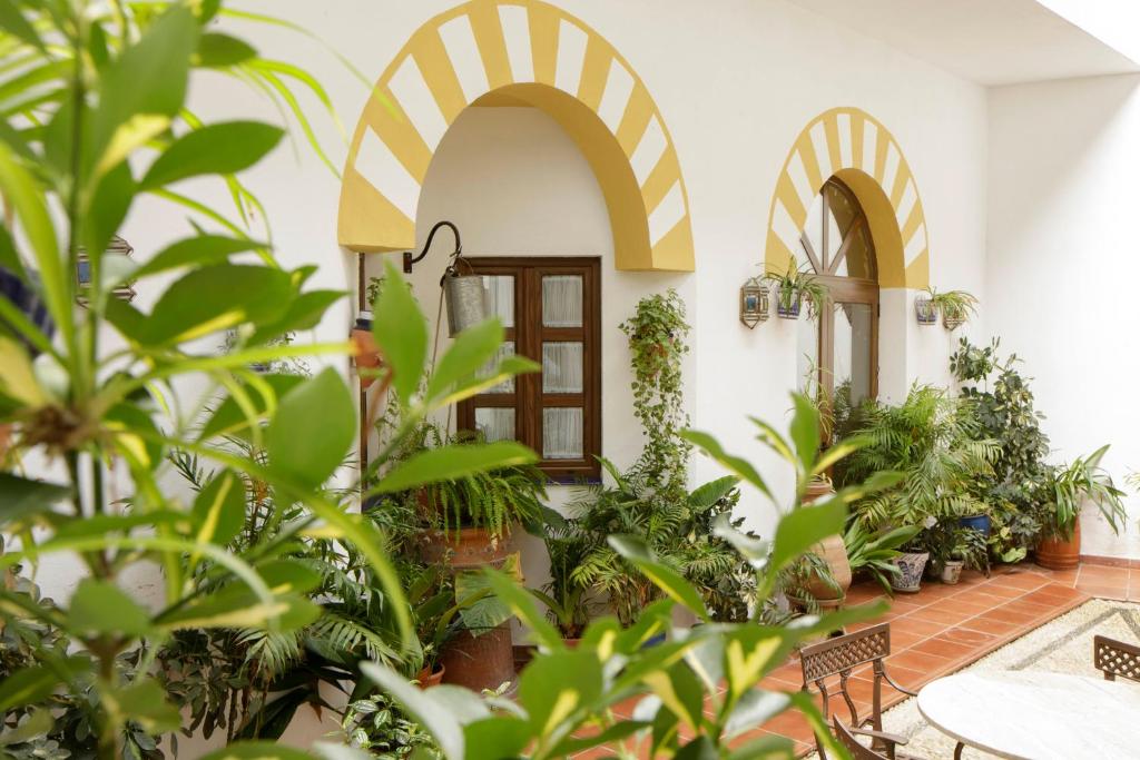 Hotel San Miguel - Resim 17