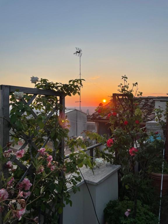 a view of the sunset from a balcony with flowers at Il Tramonto su Tivoli in Tivoli