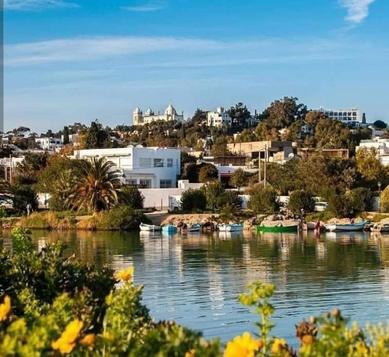 a body of water with buildings and boats in it at Appartement à Carthage byrsa in Carthage