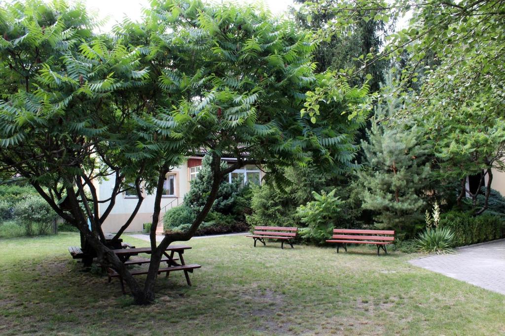 Garden area with benches and a picnic table under trees.