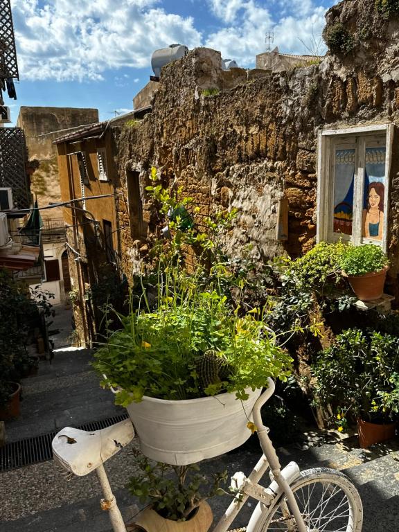 Fotografie z fotogalerie ubytování O munti rooms v destinaci Agrigento