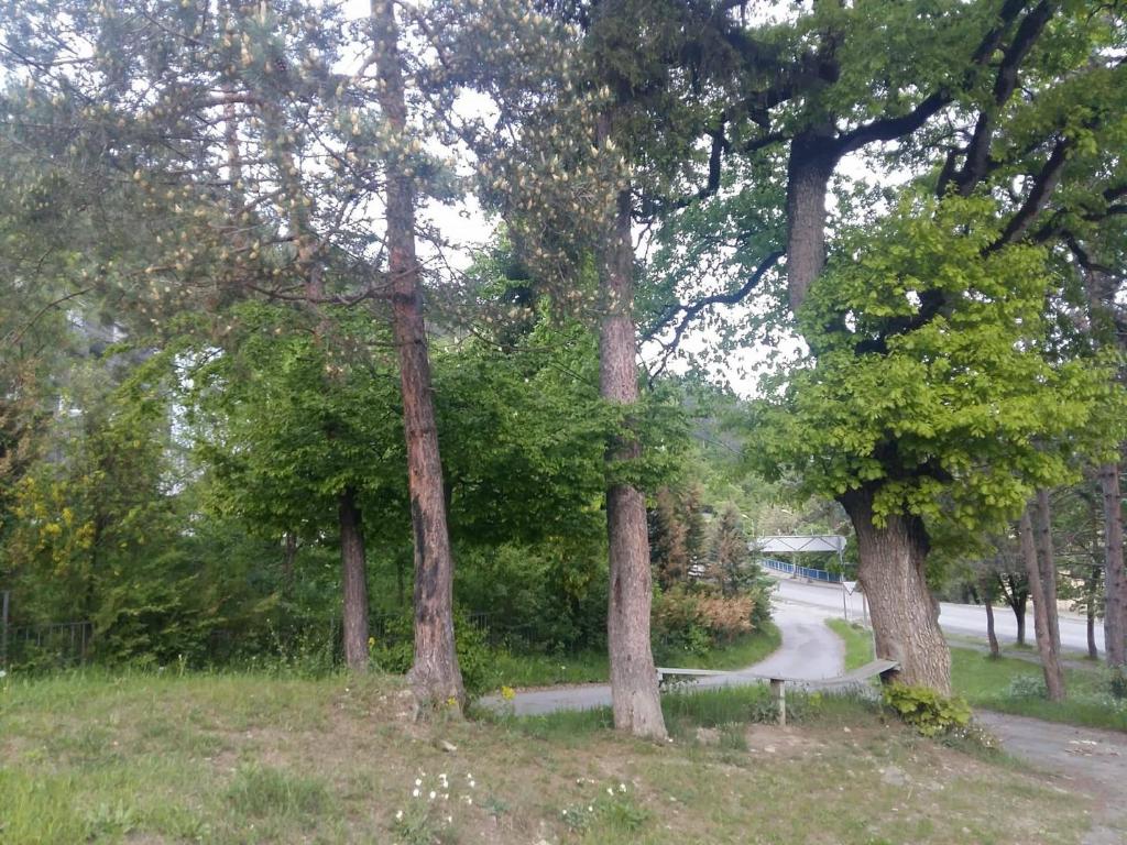 Příroda nedaleko penzionu