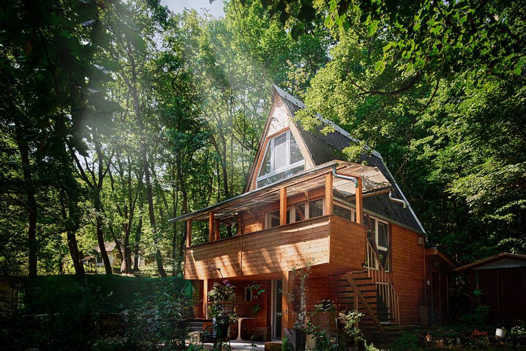 a small house in the middle of a forest at Olive Tree Forest Cabin Original in Kismaros