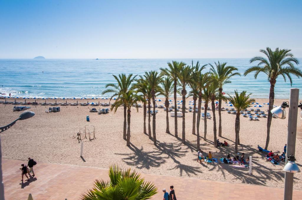 een strand met palmbomen en de oceaan bij Mediterranean Terraces - Beach Paradise in Villajoyosa