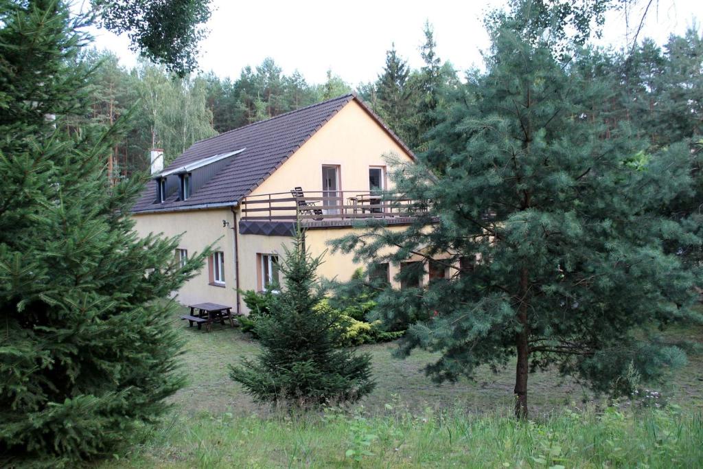 a house in the middle of a forest with trees at Siedlisko Dąb w Lubogoszczy koło Sławy in Sława