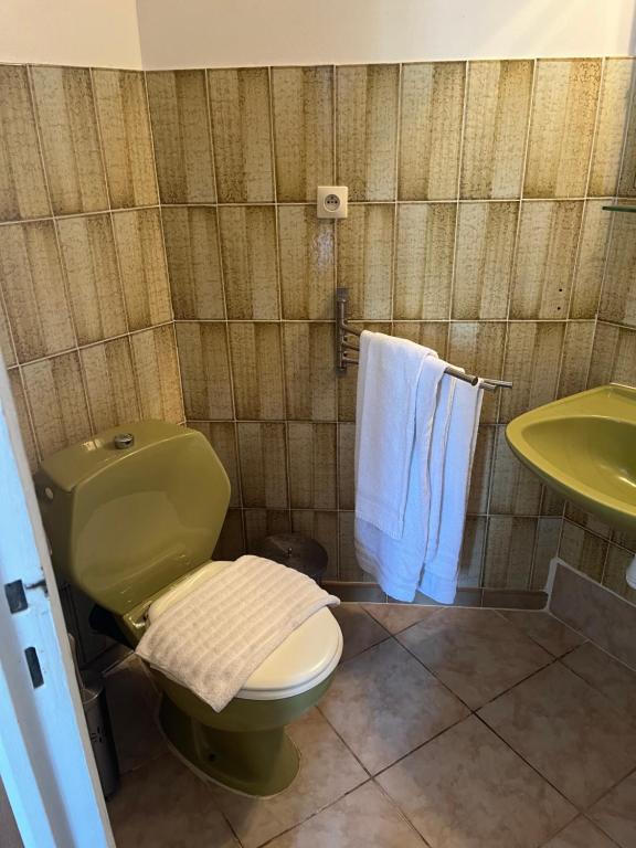 uma casa de banho com um WC verde e um lavatório em L’Auberge du pêcheur em Centuri