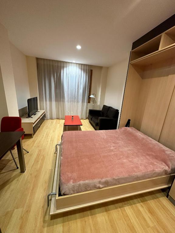 una camera con letto e un soggiorno di Estudio Céntrico A2 a Oviedo