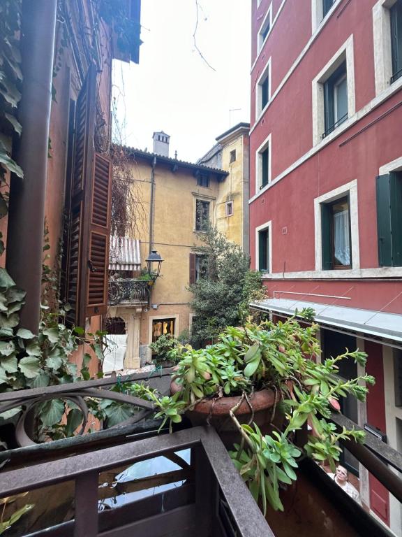 The building in which Az apartmant is located