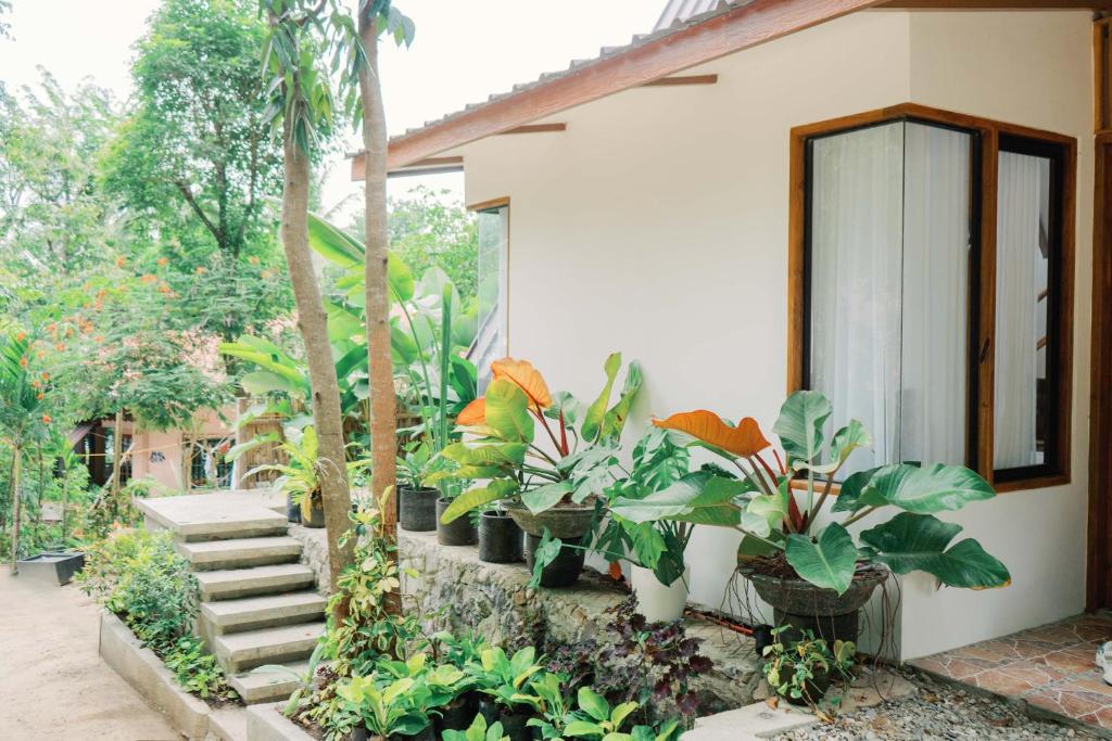 une maison avec des plantes sur son côté dans l'établissement Casa Maria at Bigang Munti, à San Juan