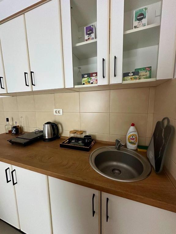 Astra Apartman Nikšić - 7