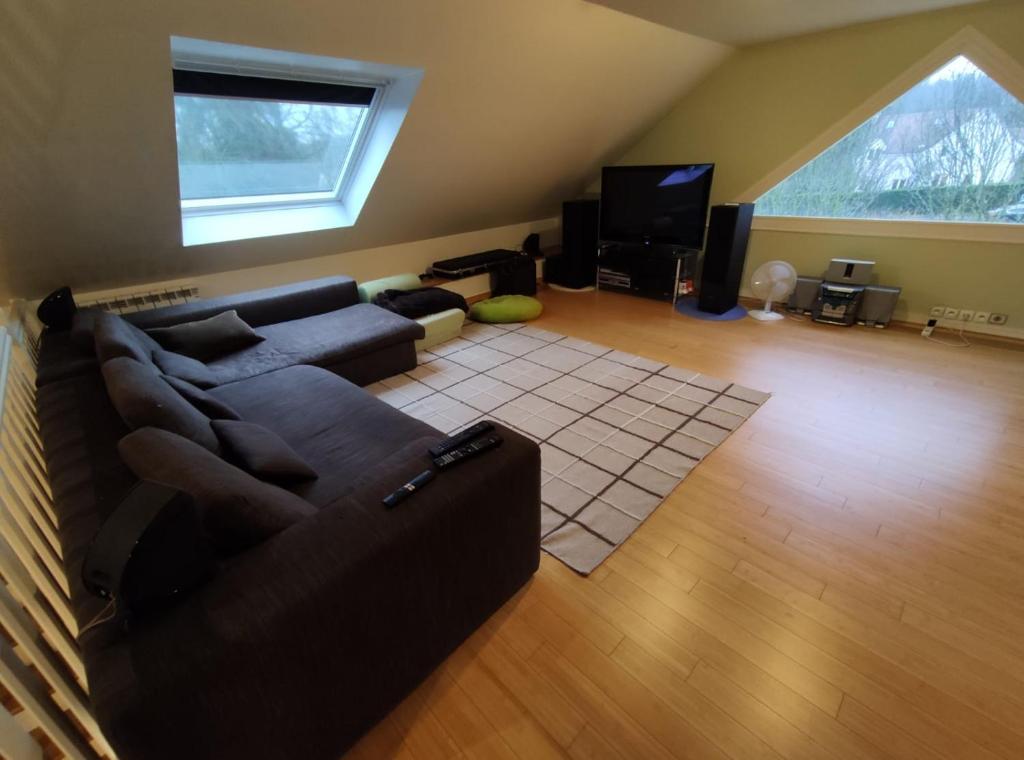 ein Wohnzimmer mit einem Sofa und einem TV in der Unterkunft catherine zajac in Saint-Nom-la-Bretêche