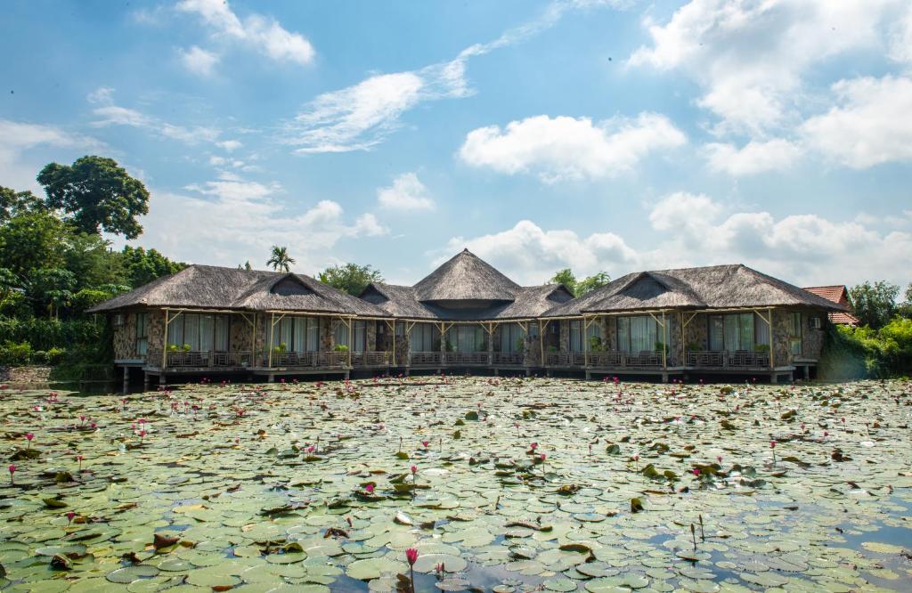 a group of buildings in a pond with lily pads at Memorina Ninh Binh Resort in Ninh Binh