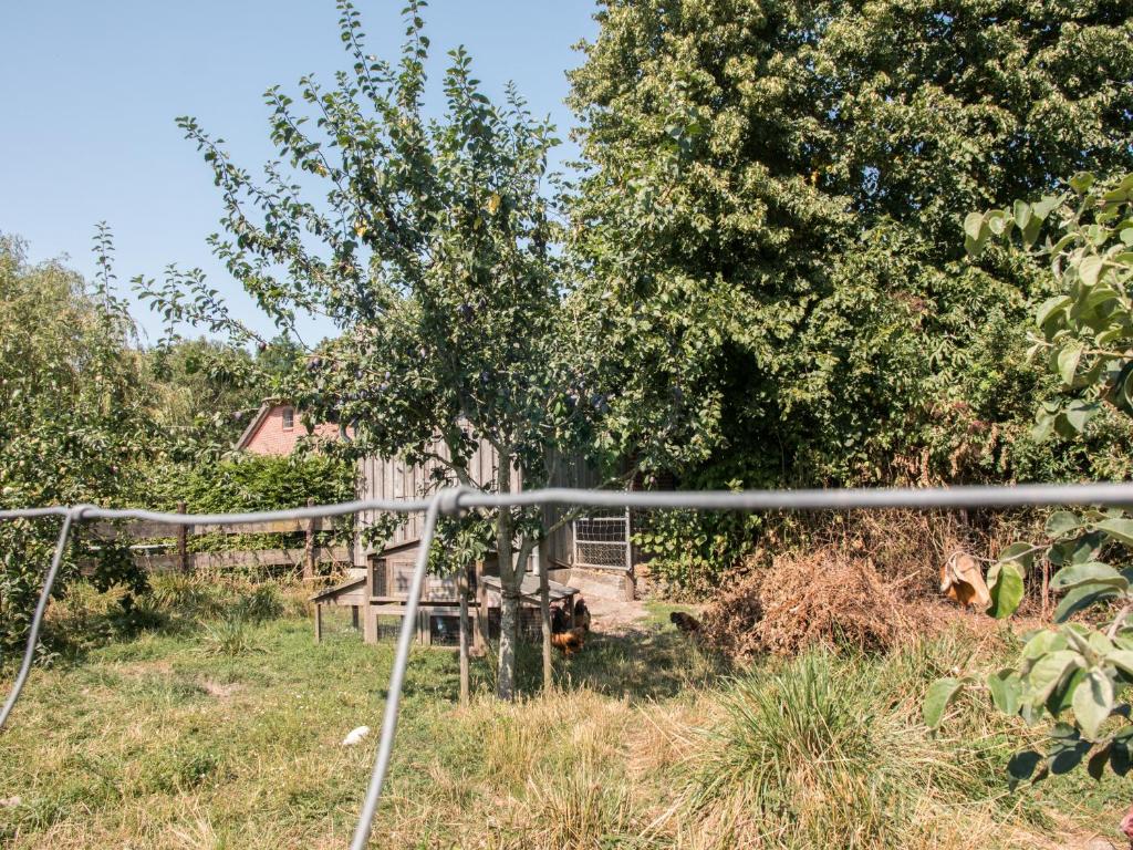Zahrada ubytování Campingplatz Johannisberg