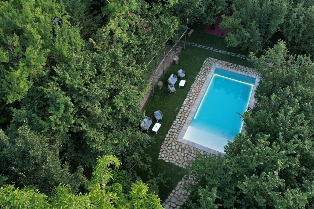 - une vue sur la piscine dans le jardin dans l'établissement Benvenuto Collection - Villa Mellicata, à Massa Lubrense