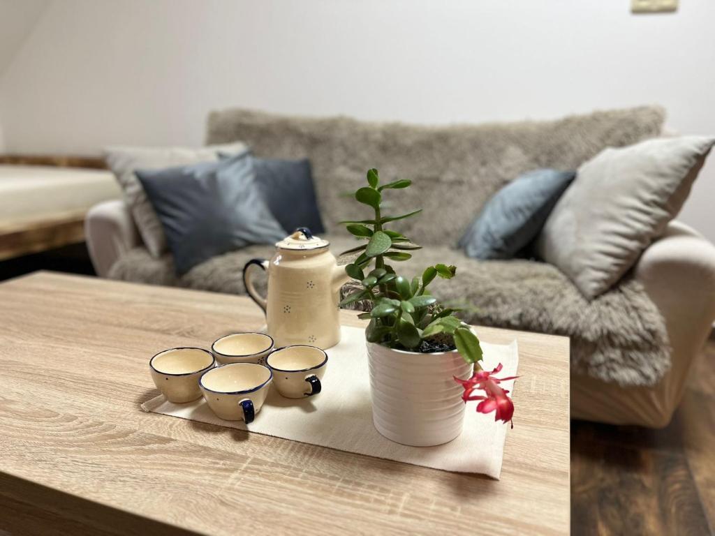 a coffee table with a potted plant and four cups at Apartmán KUGA in Mikulov