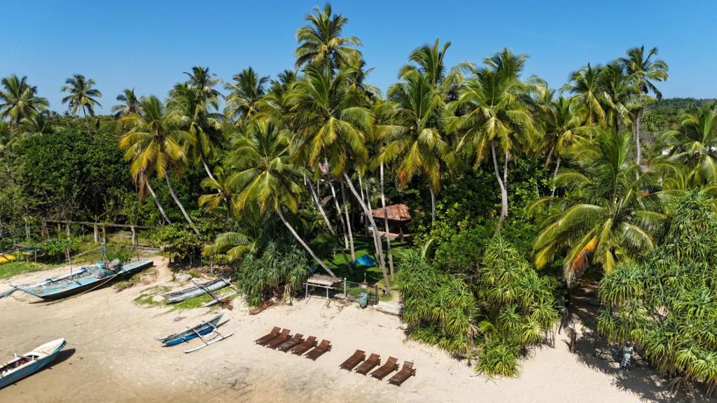 an aerial view of a beach with palm trees at Esperanza Beach Mawella in Tangalle