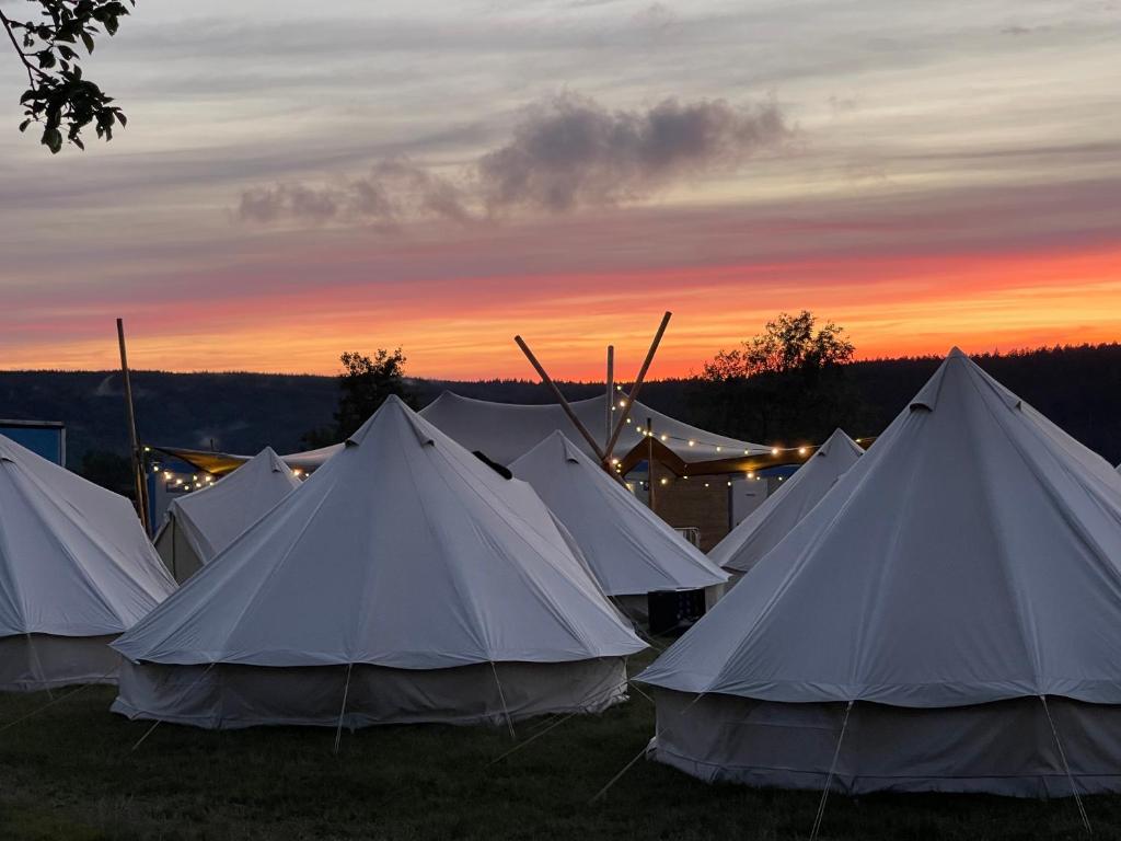 a group of white tents in a field at sunset at GrandPrixCamp closest to the track including track view in Stavelot