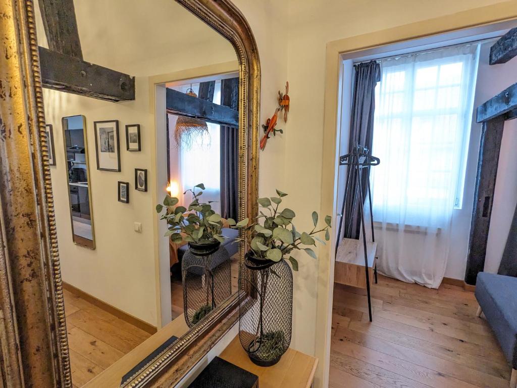 Appartement Place de la Cath' avec Parking – photo 14