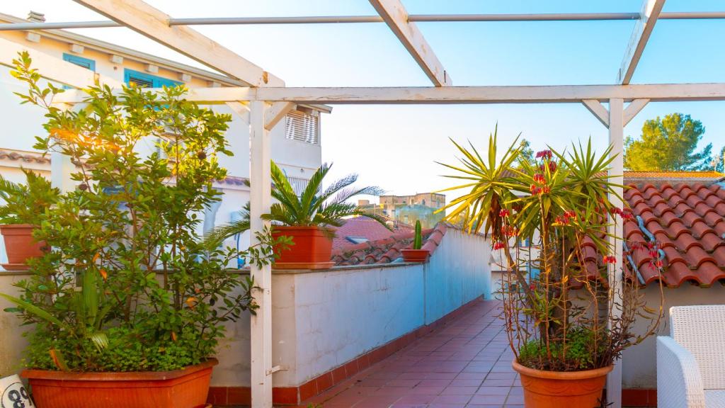 une pergola avec des plantes en pot sur un balcon dans l'établissement Martini Green House, à Torre Grande