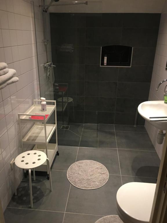 a bathroom with a shower and a toilet and a sink at vakantiewoning Bovenhaar in Punthorst