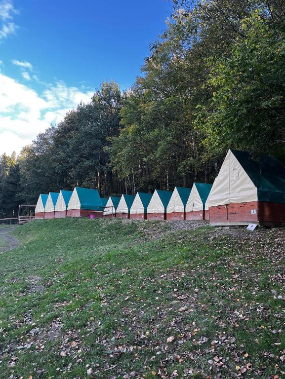 a row of tents in a field with trees at Ubytování na Horečky Ranči in Nový Jičín