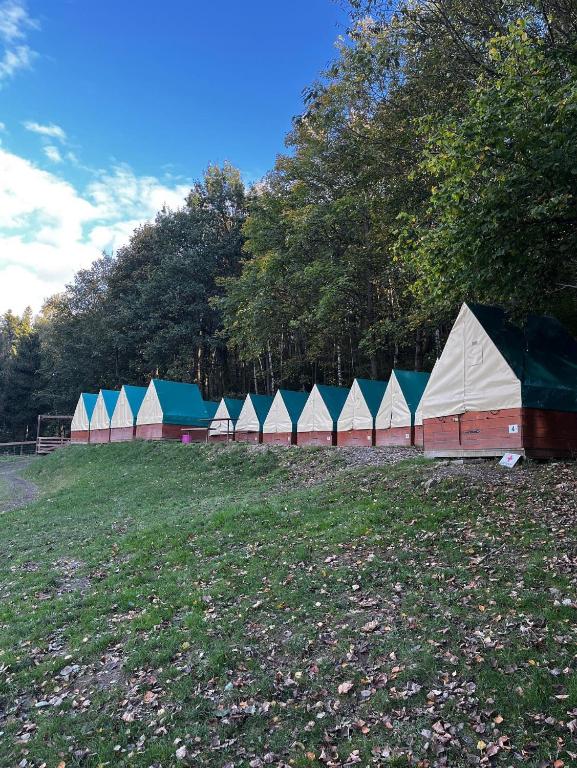 una fila de tiendas de campaña en un campo con árboles en Ubytování na Horečky Ranči, en Nový Jičín