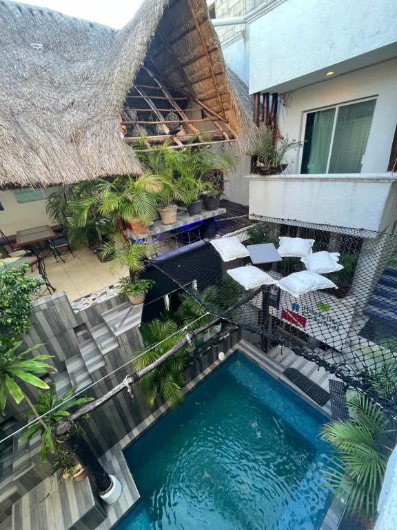 科苏梅尔Hostelito Hotel的度假村游泳池的俯视图