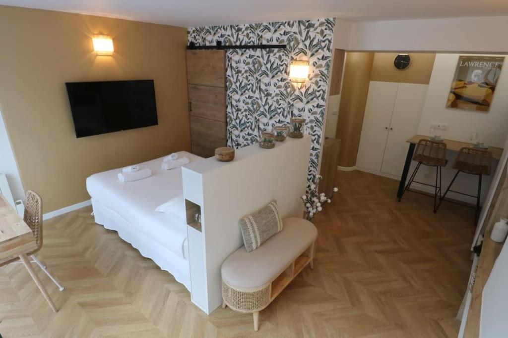 ein großes Wohnzimmer mit einer Badewanne und einem TV in der Unterkunft Cocon neuf & cosy - A deux pas de Bercy in Paris