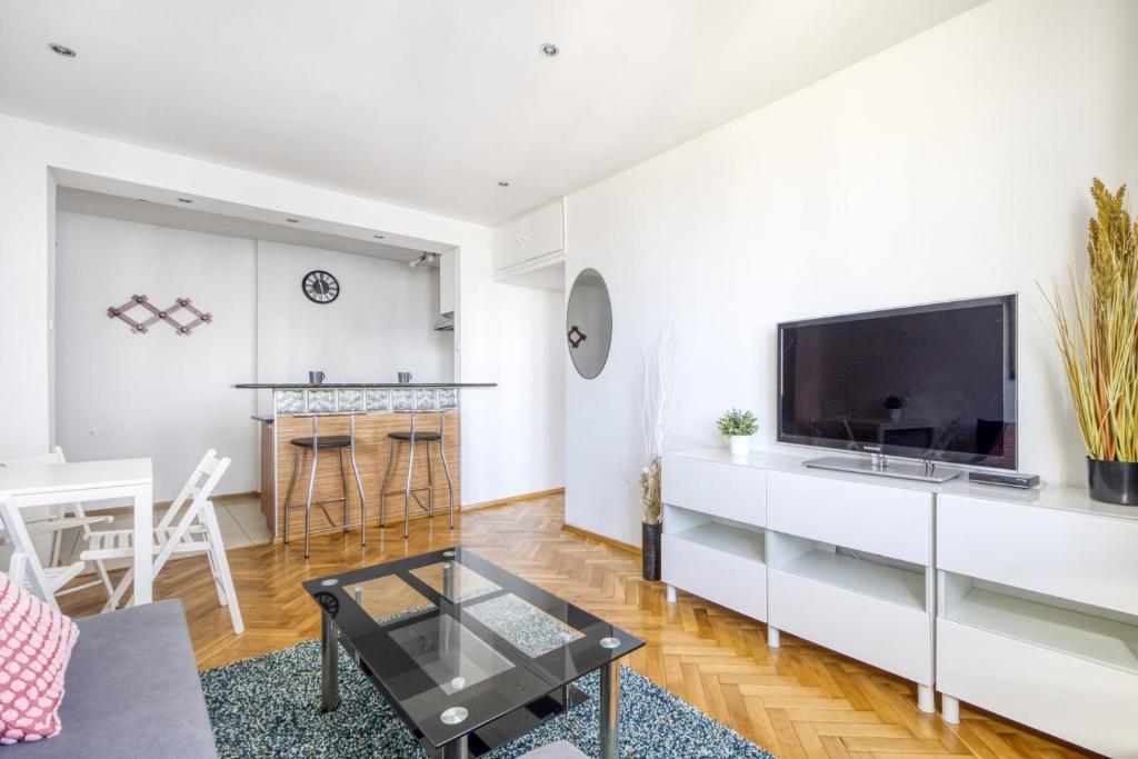 Televízia a/alebo spoločenská miestnosť v ubytovaní Pańska Residence