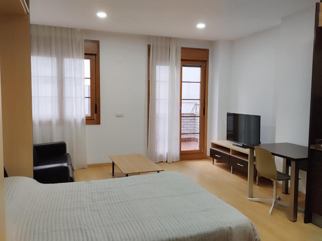 a bedroom with a bed and a desk and a television at Estudio Céntrico A1 in Oviedo