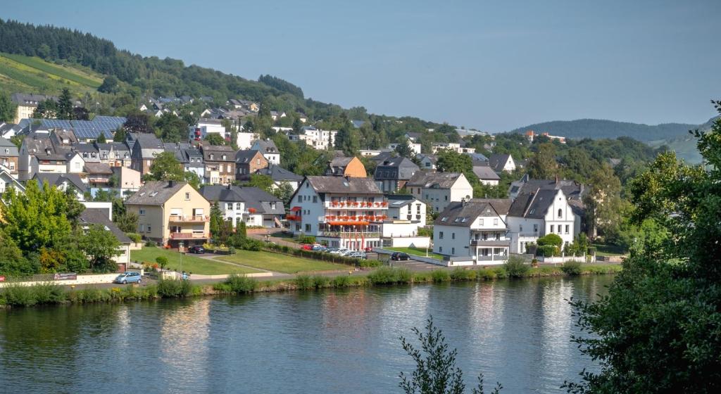a town next to a body of water with houses at Hotel Bisenius in Traben-Trarbach