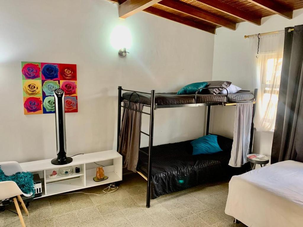 1 Schlafzimmer mit 2 Etagenbetten in einem Zimmer in der Unterkunft Hostel Cocoon la 70 in Medellín