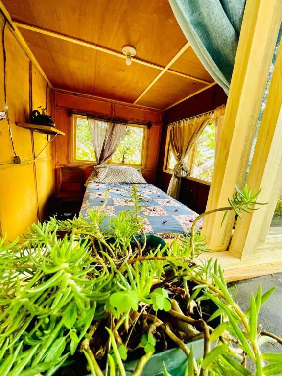 una habitación con una cama y plantas en ella en Posada Maná, en San Juan La Laguna