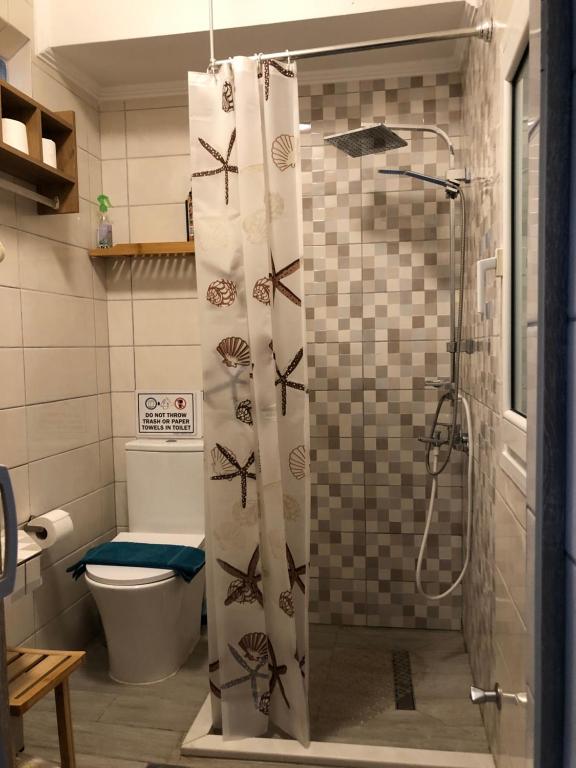 łazienka z prysznicem, toaletą i zasłoną prysznicową w obiekcie Lefkothea's central apartment w Salonikach