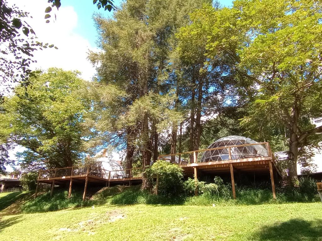 un edificio en medio de un parque con árboles en GlampOut Resort - Elk River en Sutton