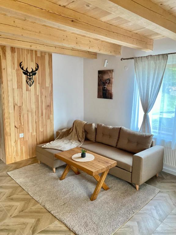 Posezení v ubytování Hirsch Chalet Apuseni