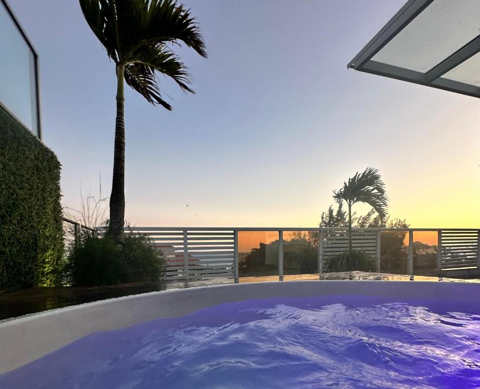 una bañera de hidromasaje con una palmera y el océano en Coberturas ou apartamentos 1min da praia do recreio com Vista Mar, en Río de Janeiro