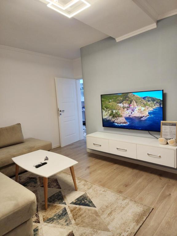 Televízia a/alebo spoločenská miestnosť v ubytovaní Comfy Elbasan Apartment