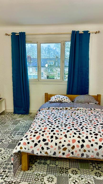 - une chambre avec un lit doté de rideaux bleus dans l'établissement LE BORD DE LA LOIRE - chambre avec salle de bains commune, à Nantes