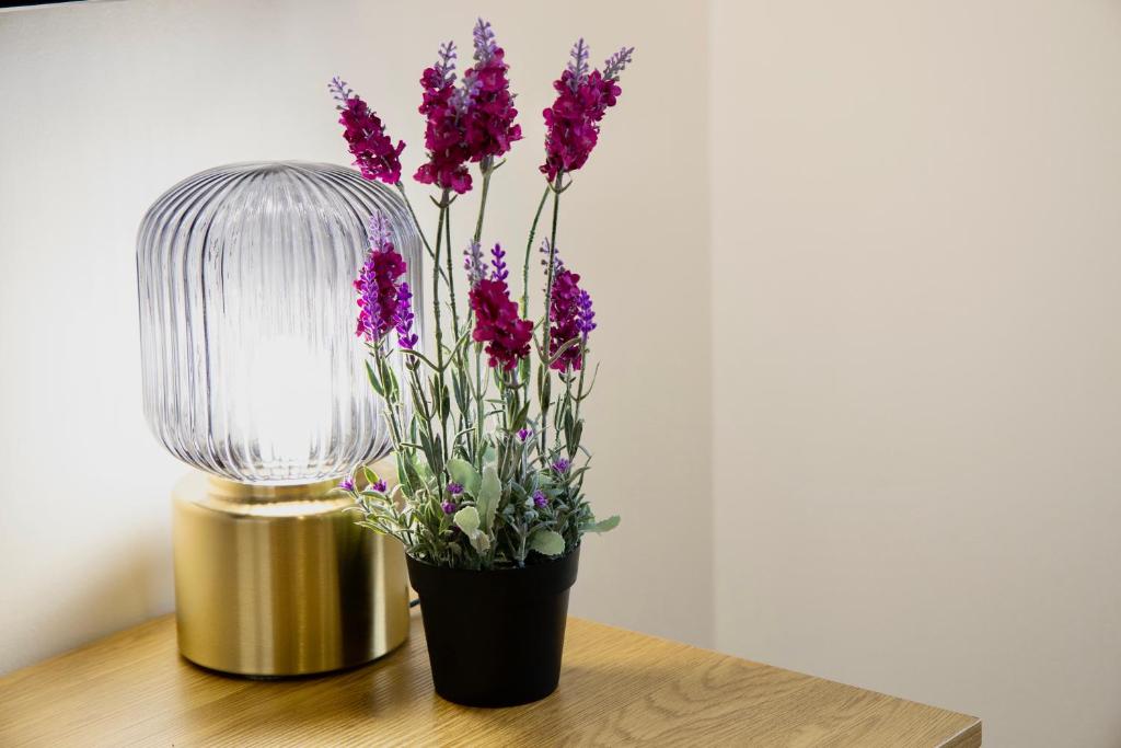 Lucus Skyline & Terrace by Lugo Collection - 10