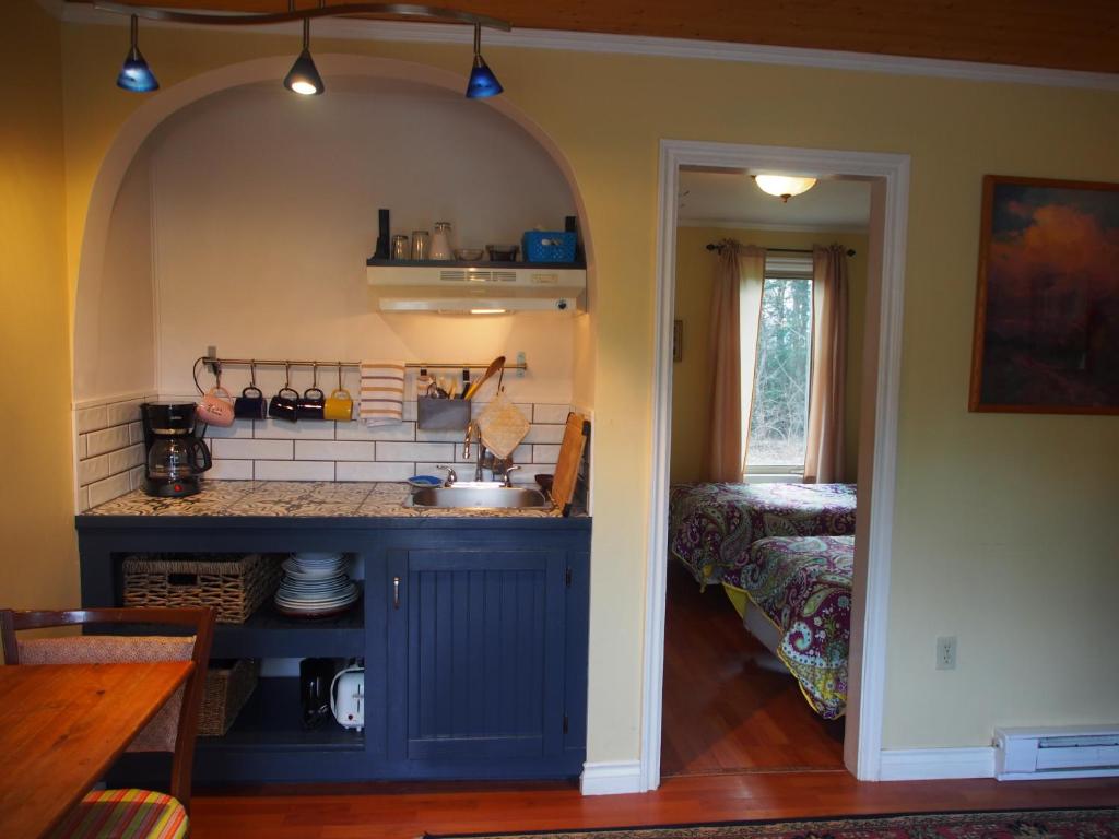 a kitchen with a counter and a sink in a room at Woodside Inn in Harrison Mills