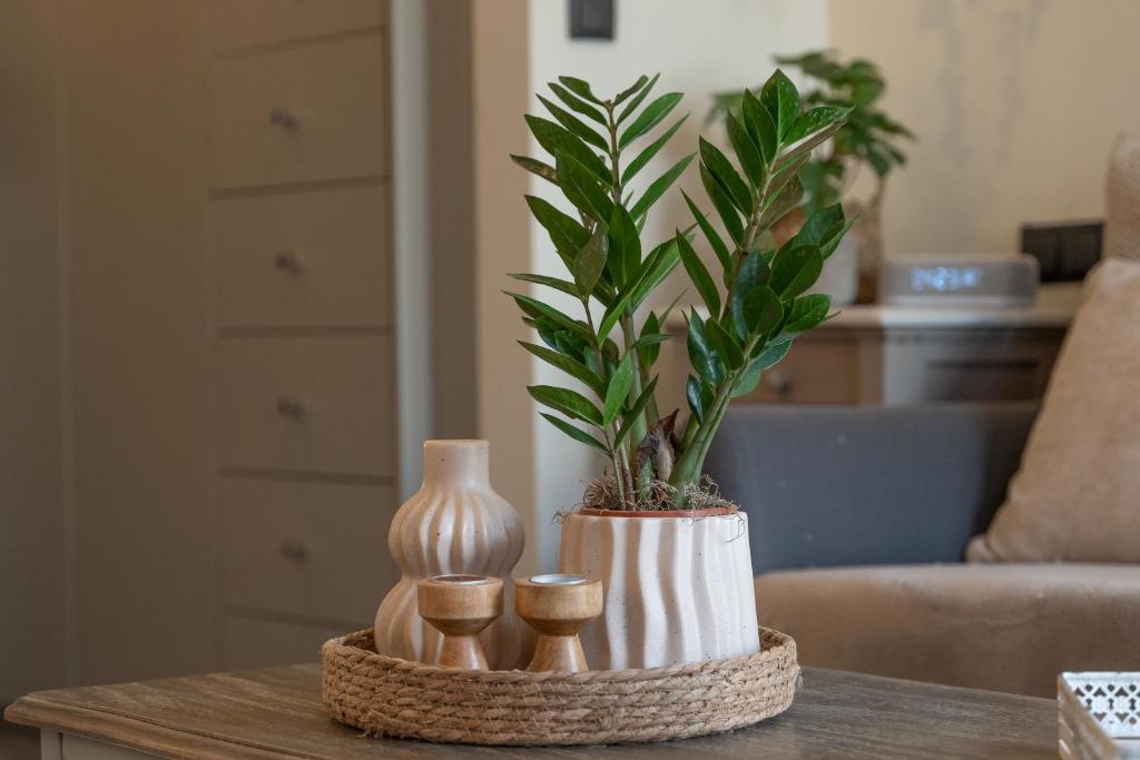 Istumisnurk majutusasutuses Ixia home
