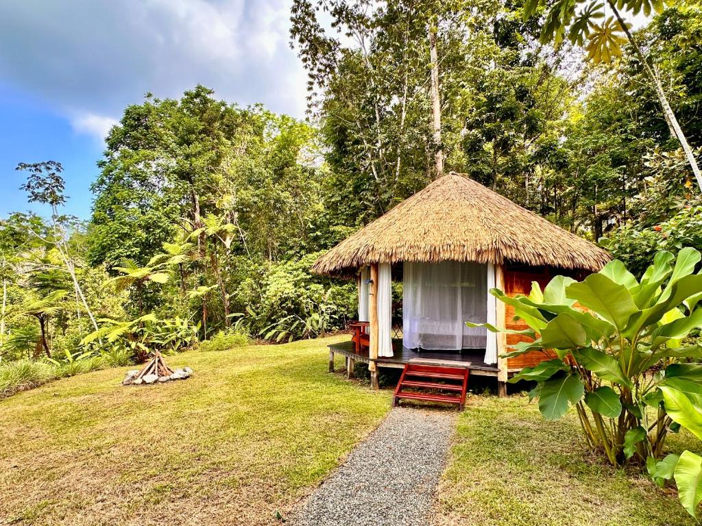 Zahrada ubytování Finca Terra Incognita - Wood cabins in the jungle