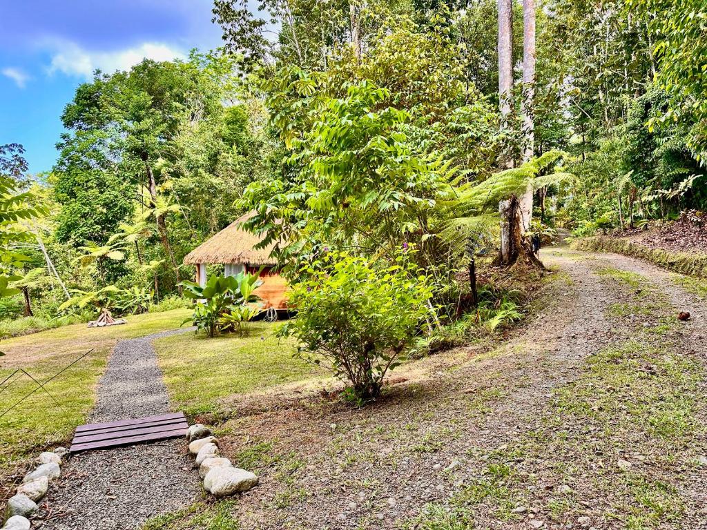 Zahrada ubytování Finca Terra Incognita - Wood cabins in the jungle