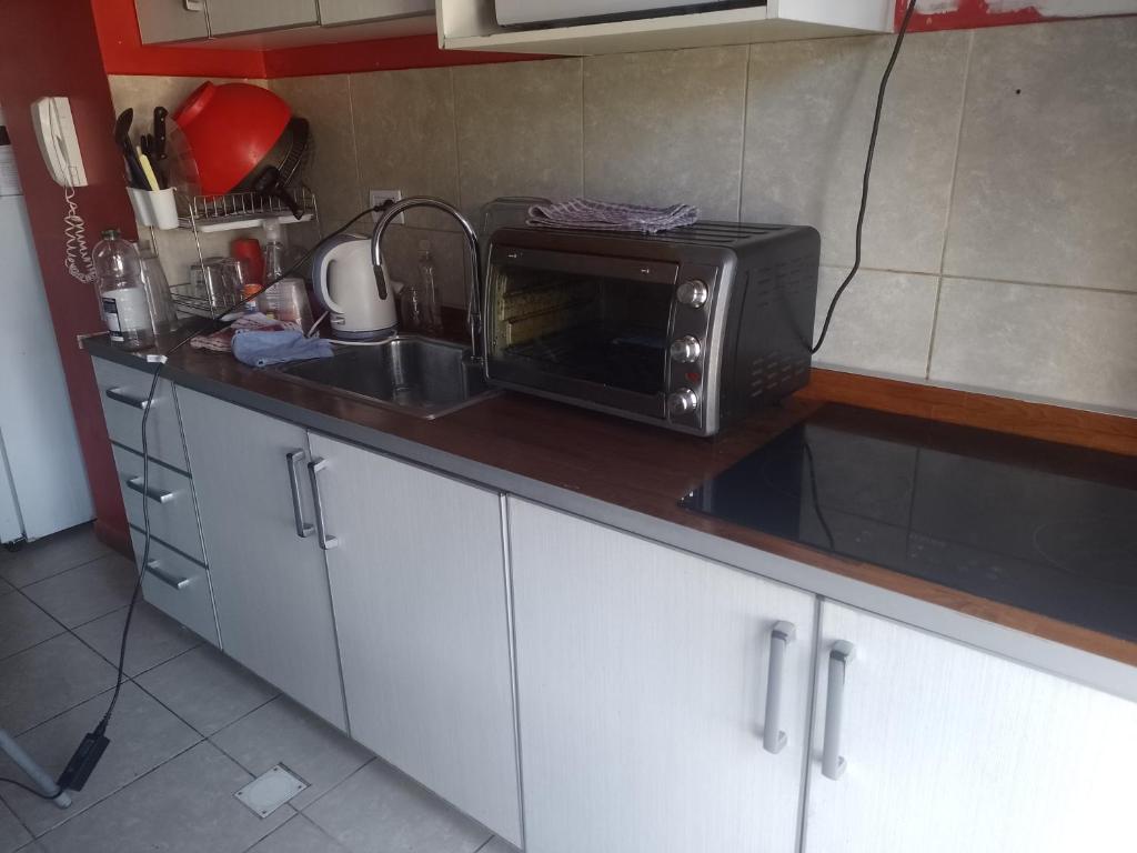 encimera de cocina con microondas y fregadero en Caluvi en Ushuaia