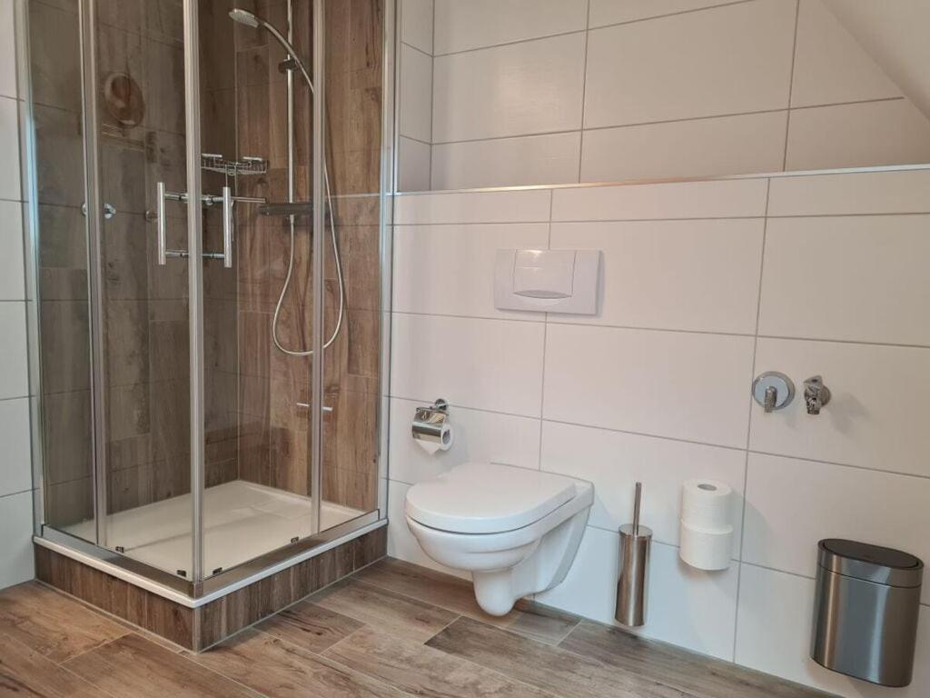 a bathroom with a shower and a toilet at Maisonette holiday apartment Fichtelberg in Annaberg-Buchholz