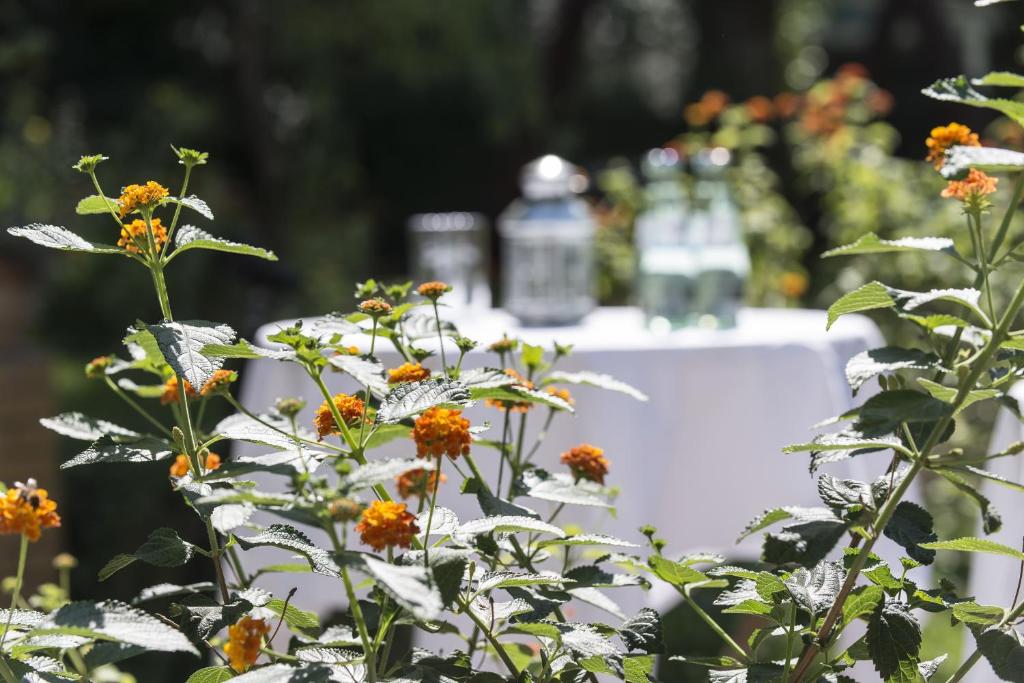 Hotel Grenzfall - Resim 43